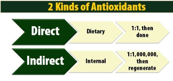2 Kinds of Antioxidants - Direct and Indirect