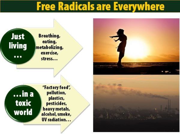 Free radicals are everywhere