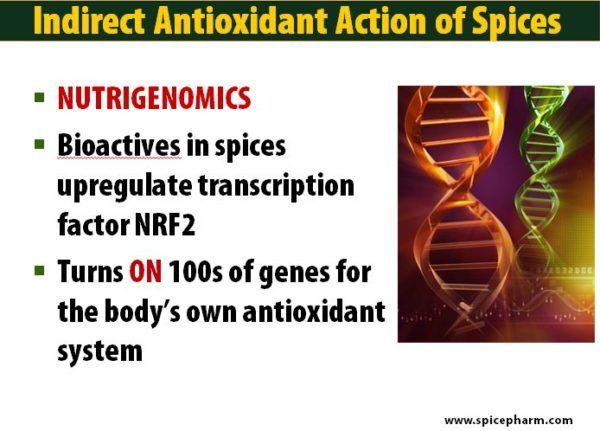 Indirect Antioxidant Action of Spices